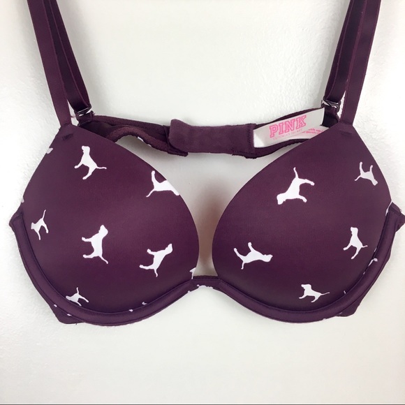 PINK Victoria's Secret Other - PINK Victoria's Secret Push Up Bra